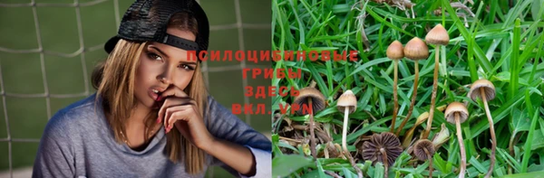 герыч Медногорск