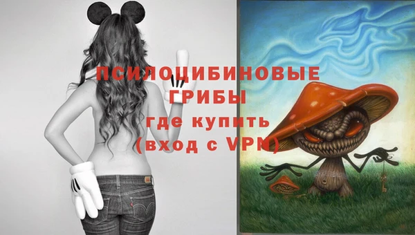 ECSTASY Медвежьегорск
