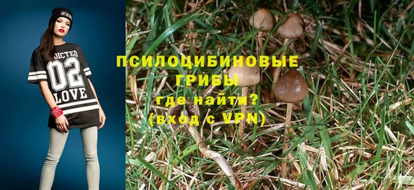 герыч Медногорск